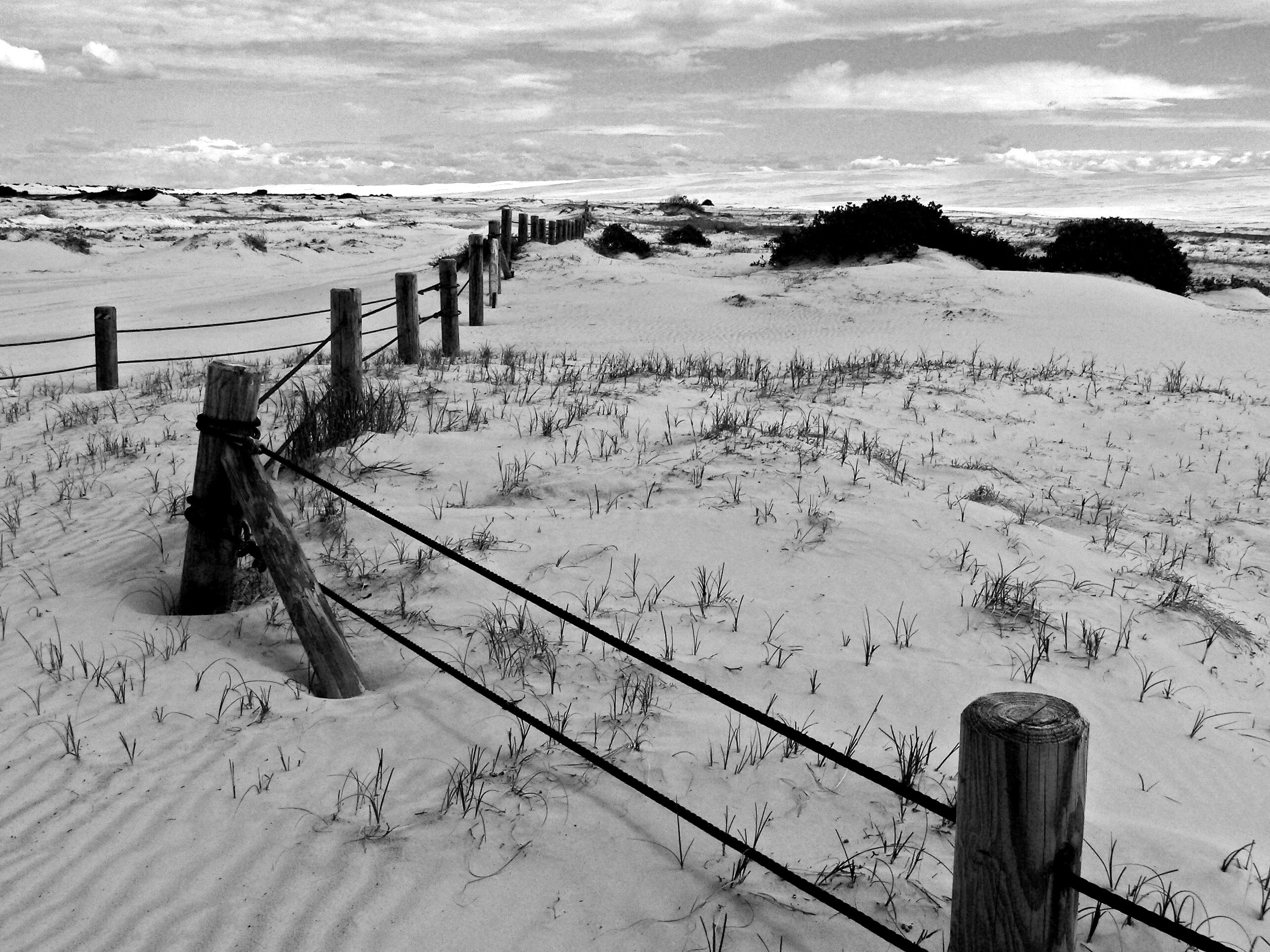 Fences in the sand dunes