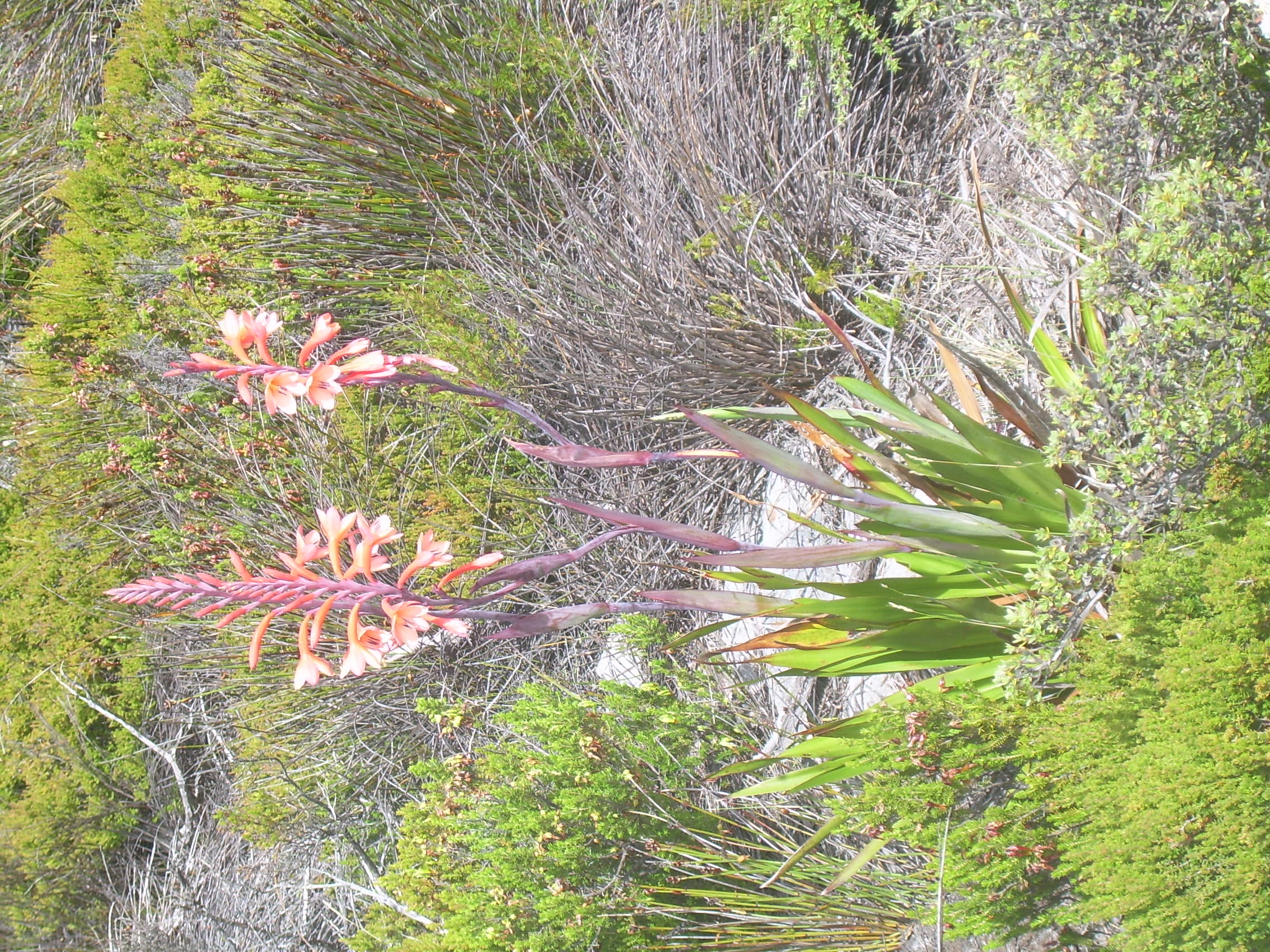 DSCN0113.JPG