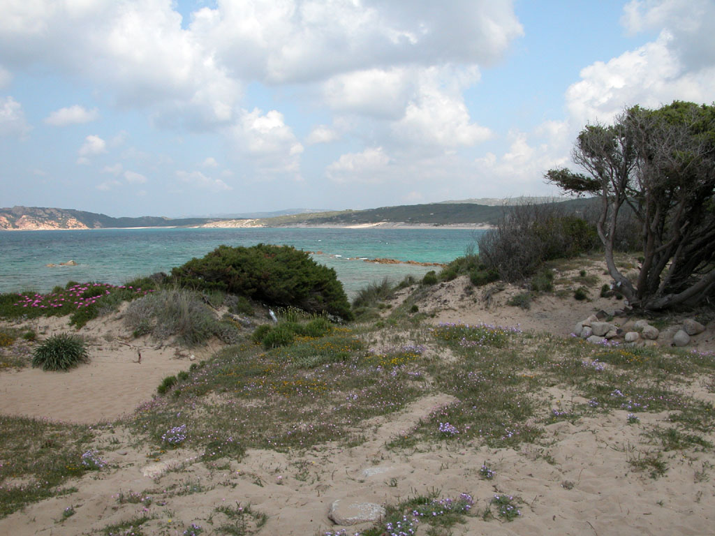 DSCN5873.JPG