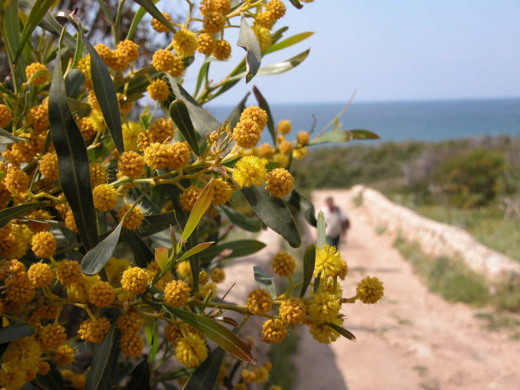 DSCN5890.JPG