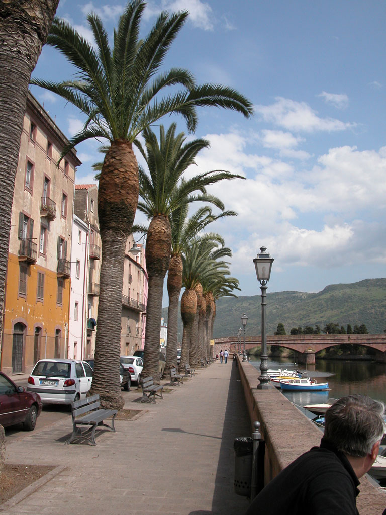 Bosa