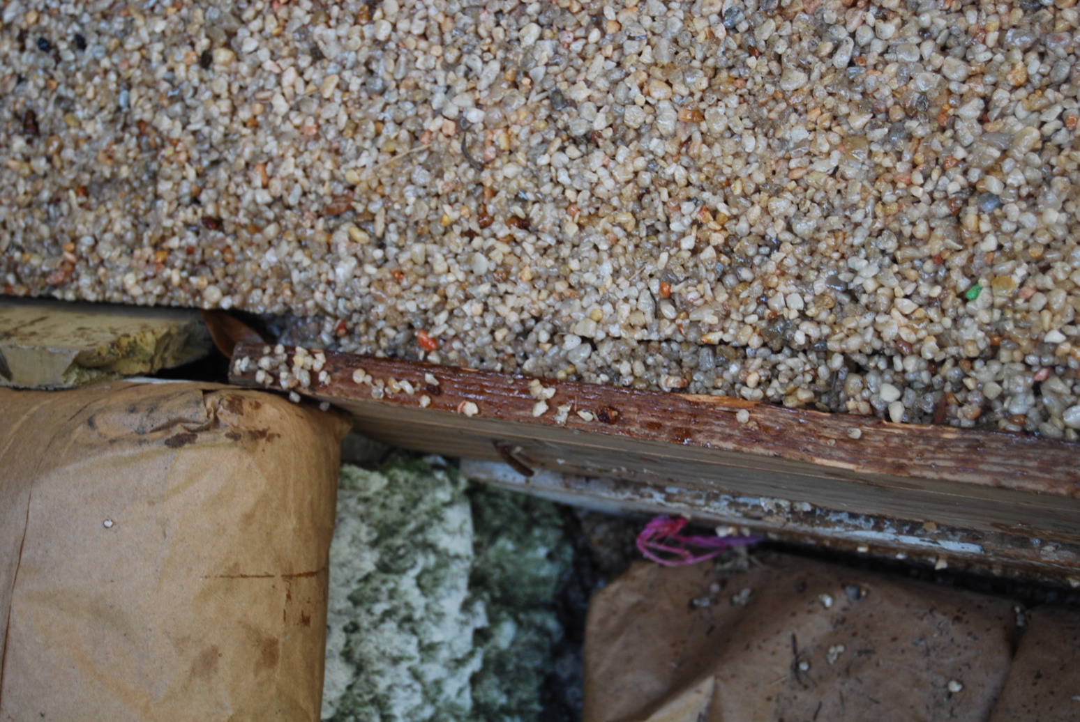 DSC_0015.JPG - edge of porch - very visible area