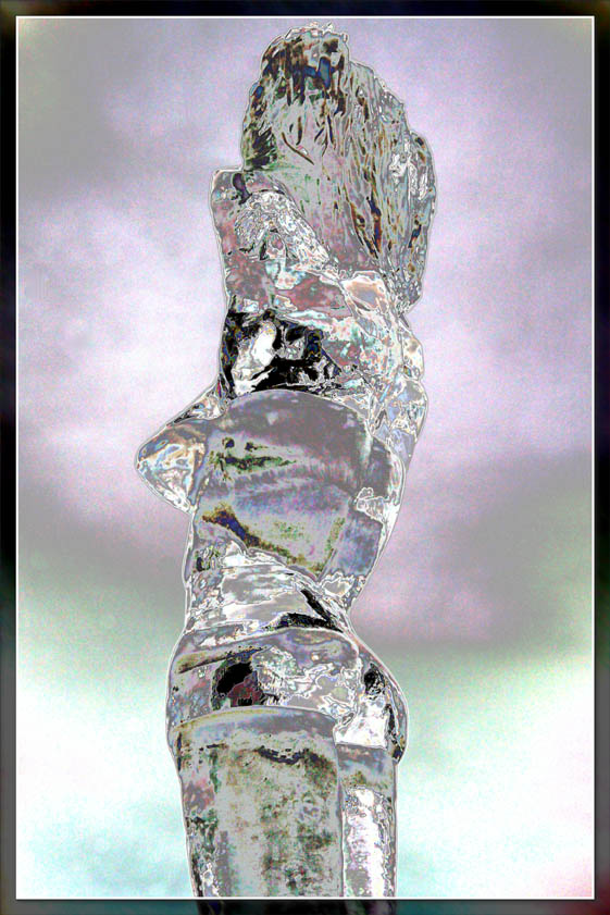 Ice Sculpture 1 - 8102.jpg