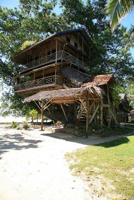 Tree House