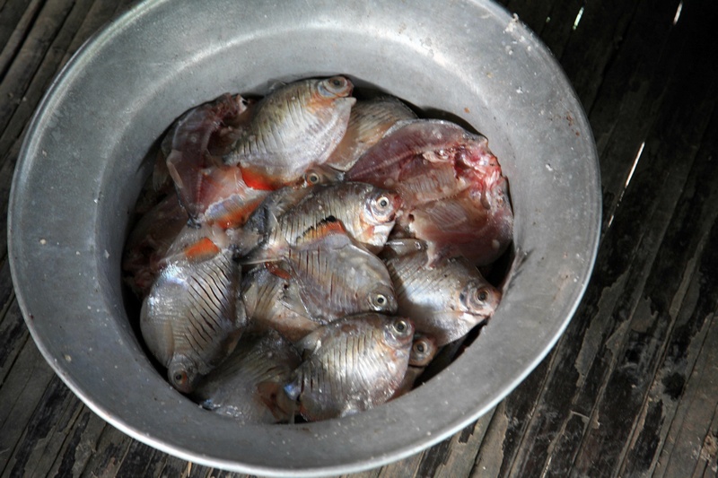 Salting Fish