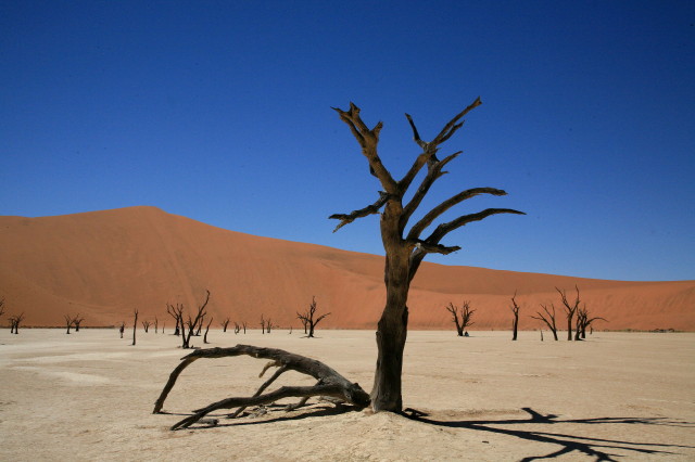 Deadvlei