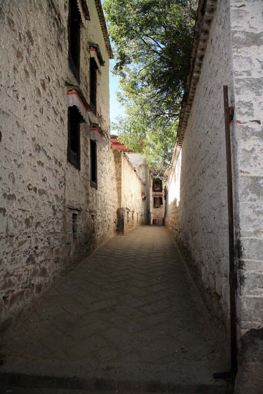 XIMG_3148.jpg