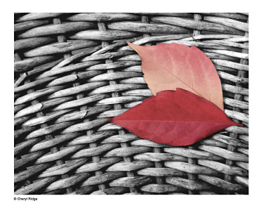 two-leaves-in-basket-sml.jpg