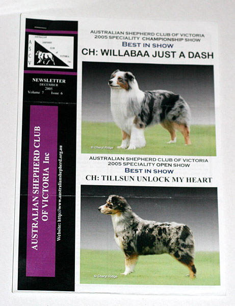 Australian Shepherd club newsletter - cover photos