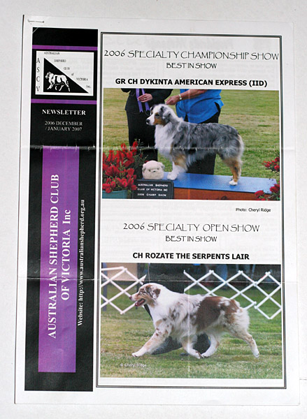 Australian Shepherd club newsletter - cover photos