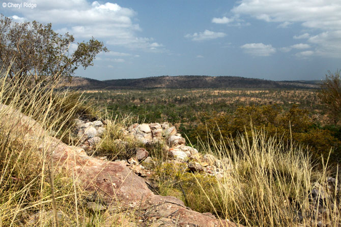 2933-kath-gorge.jpg