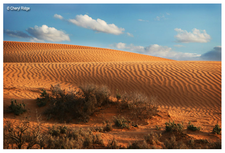 0574b-perry sand hills near Wentworth NSW