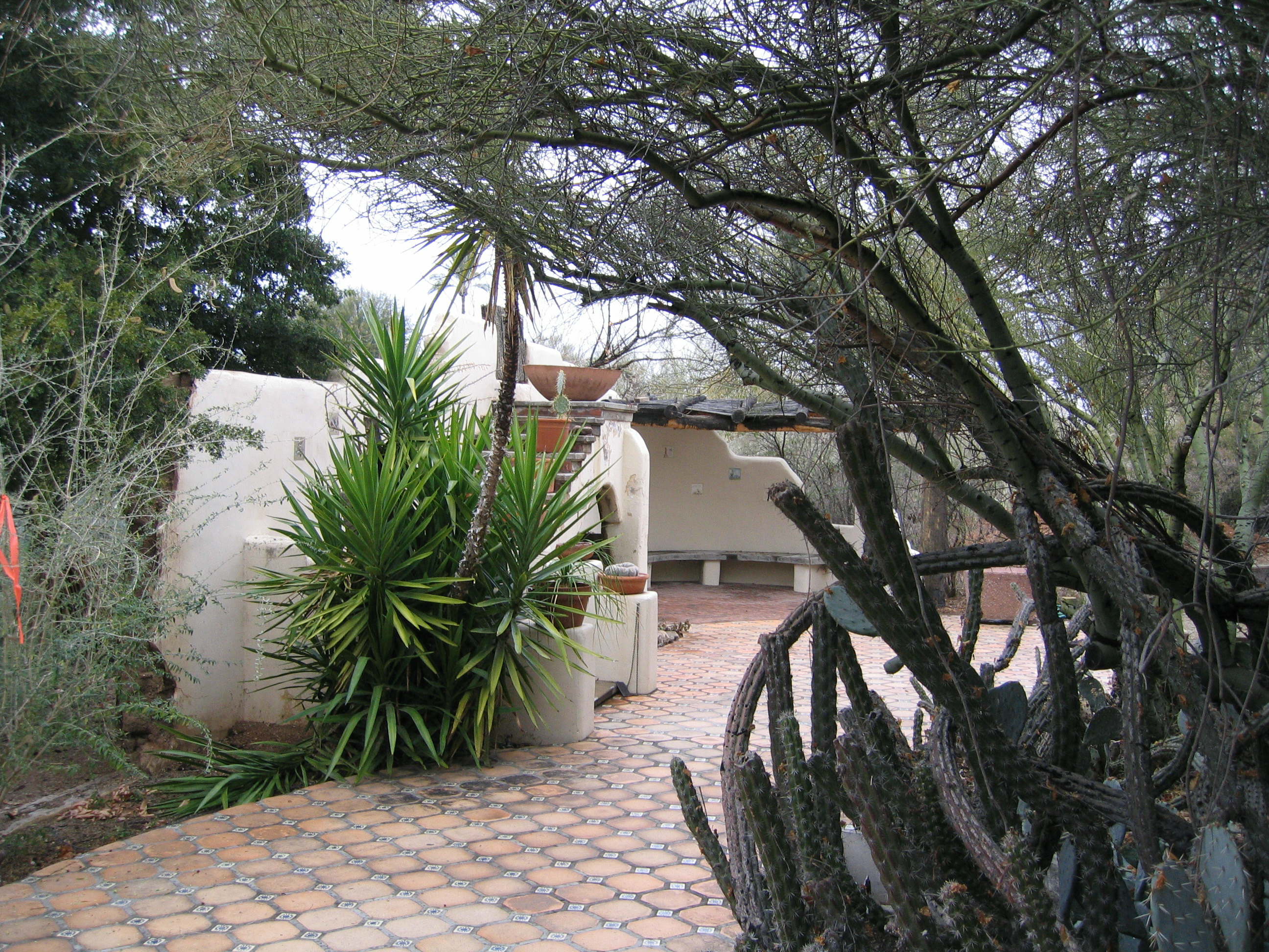 Garden 9