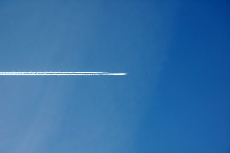 DSC_4133.jpg