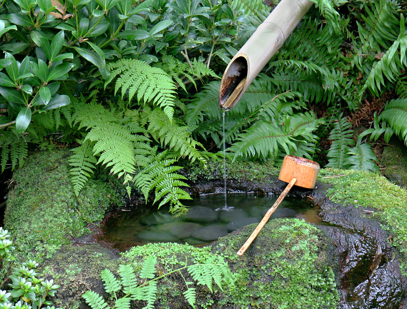 Drinking Pool