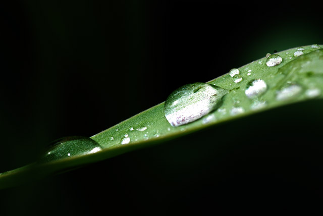 drop of water