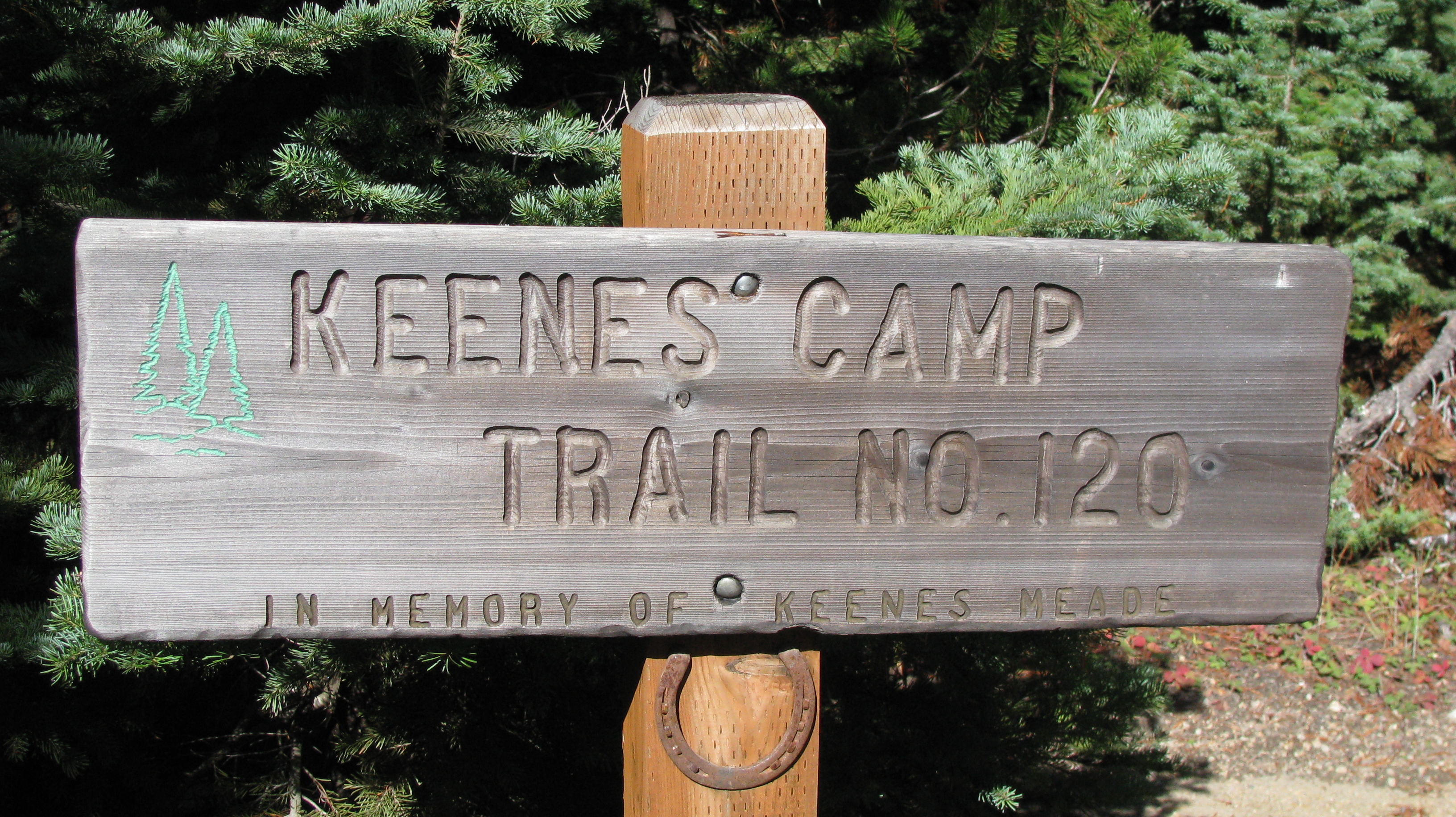 1 - Keenes Horse Camp.jpg