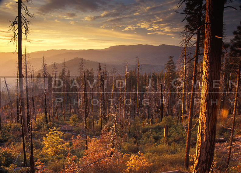 9904 Merced River valley