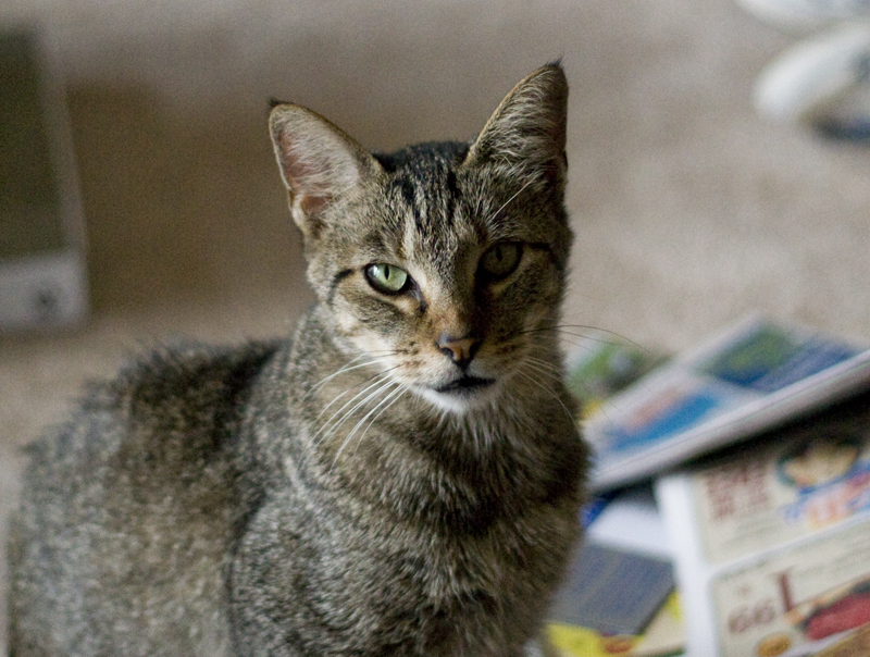 7/29/08  We are not amused.