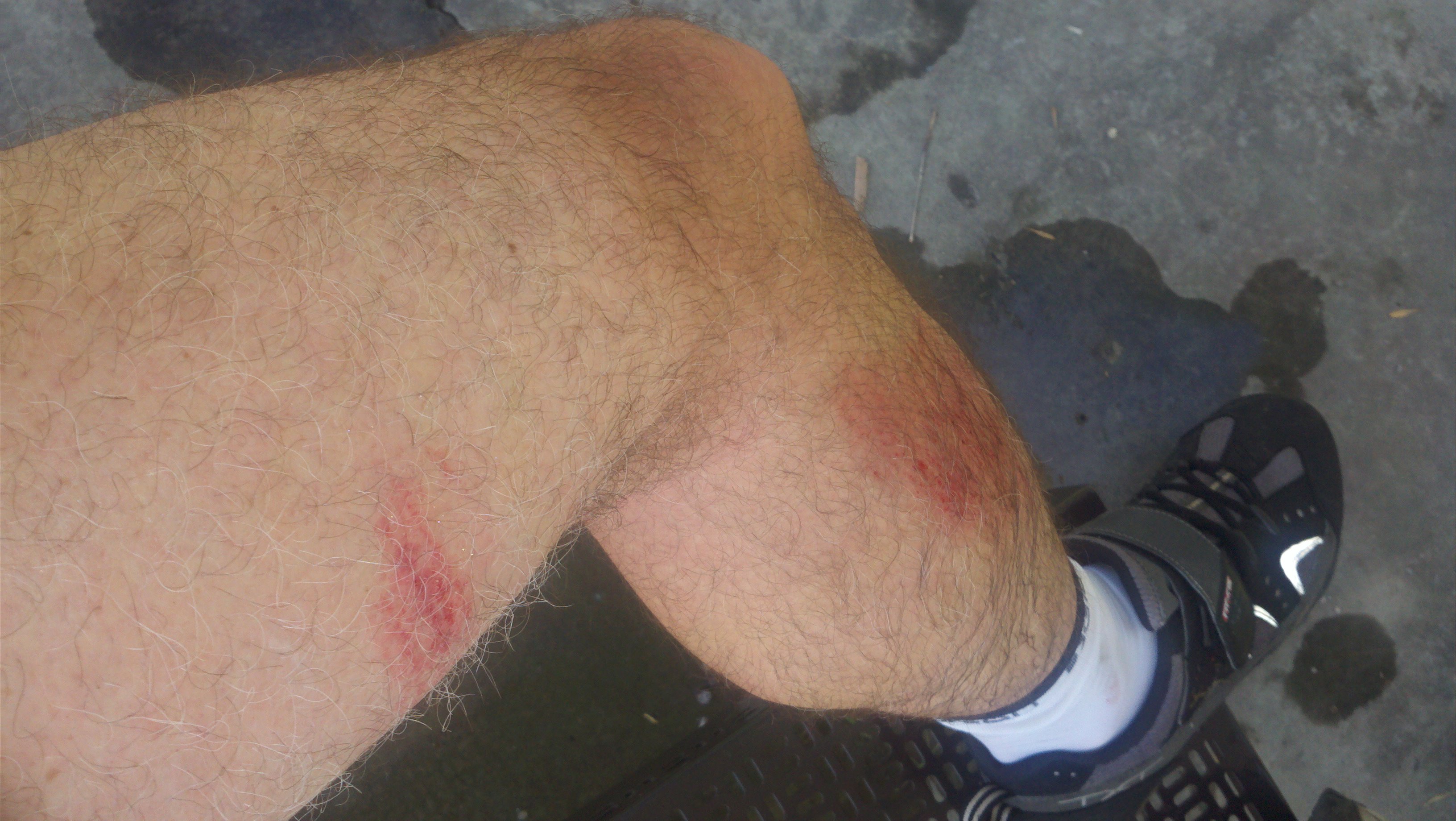 2011-08-06_11-09-56_8.jpg