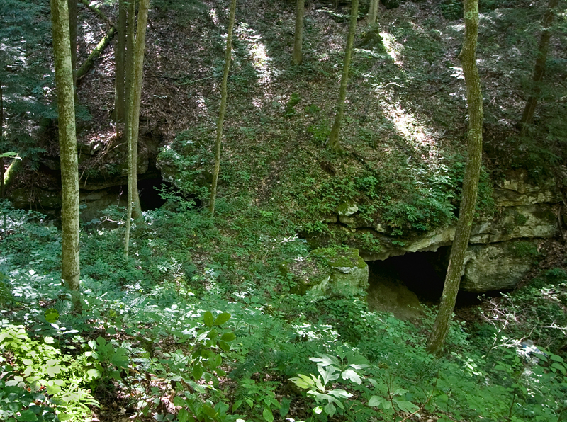 Schoolhouse Branch Arch