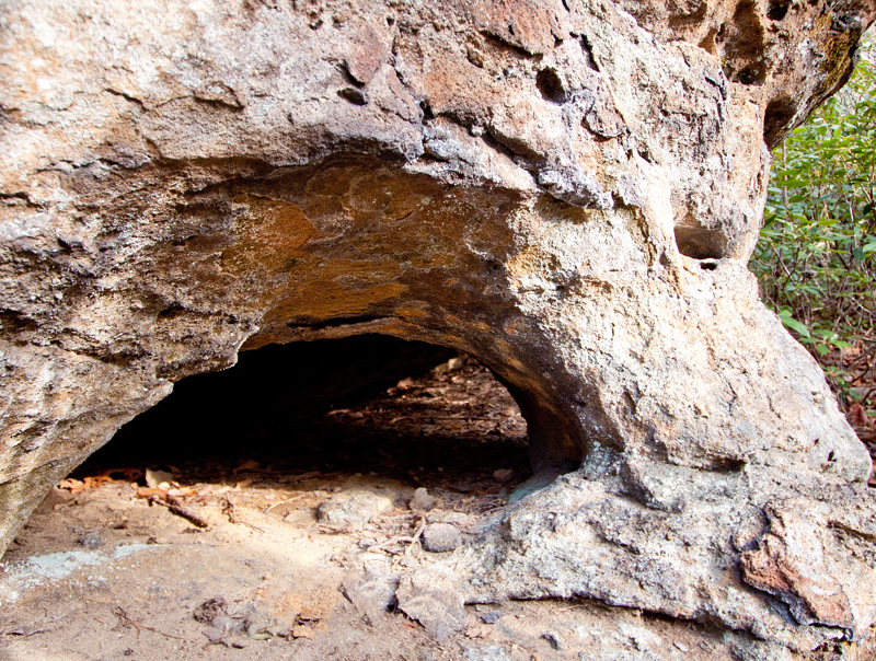 Cold Spring Fork Pillar