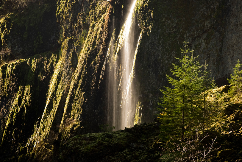 Sunlight Peeking In the Canyon