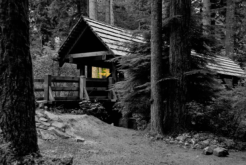 Silverfalls State Park Bridge B&W with a little Color