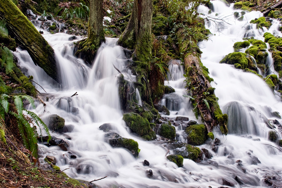 Wakeena Creek in February 2008