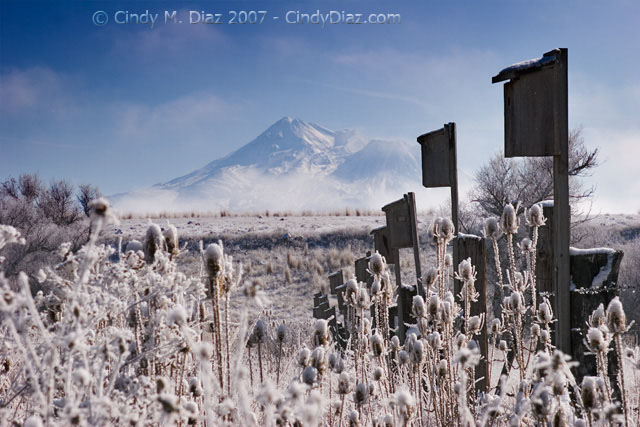 Frosty View II