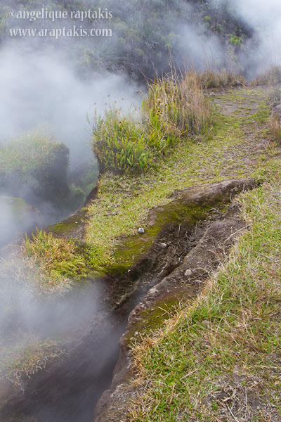 _MG_9803 steam vents w.JPG