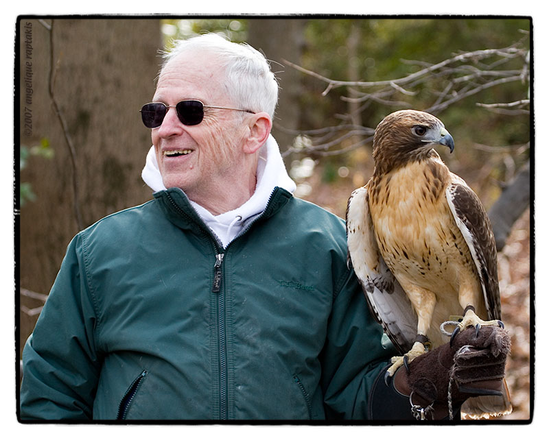 Red Tailed Hawk (Buteo jamaicensis)