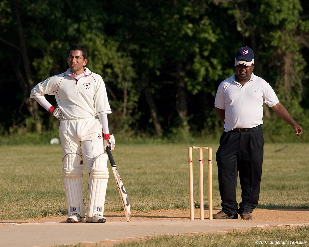 _MG_4146 cricket cw.jpg