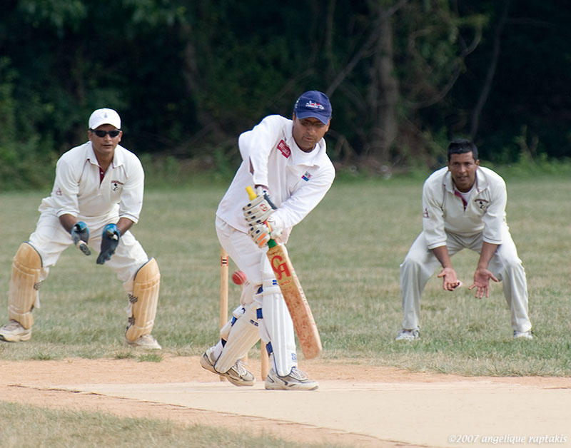 _MG_4923 cricket cHw.jpg