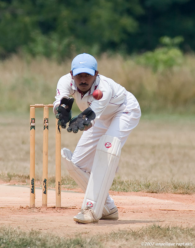 _MG_5072 cricket w.jpg