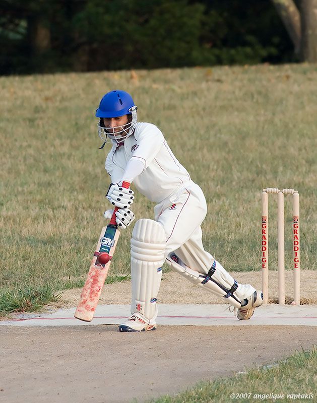 _MG_6231 cricket cHw.jpg