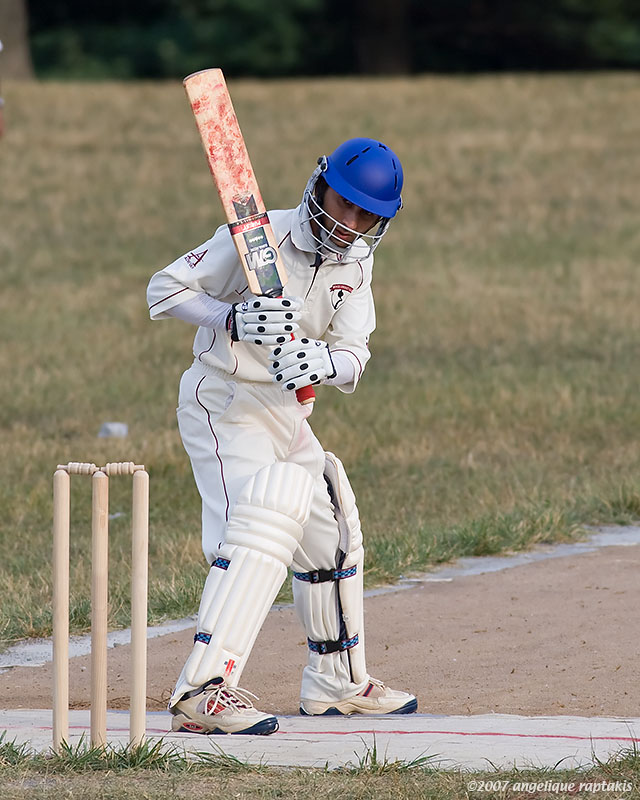 _MG_6080 cricket cw.jpg