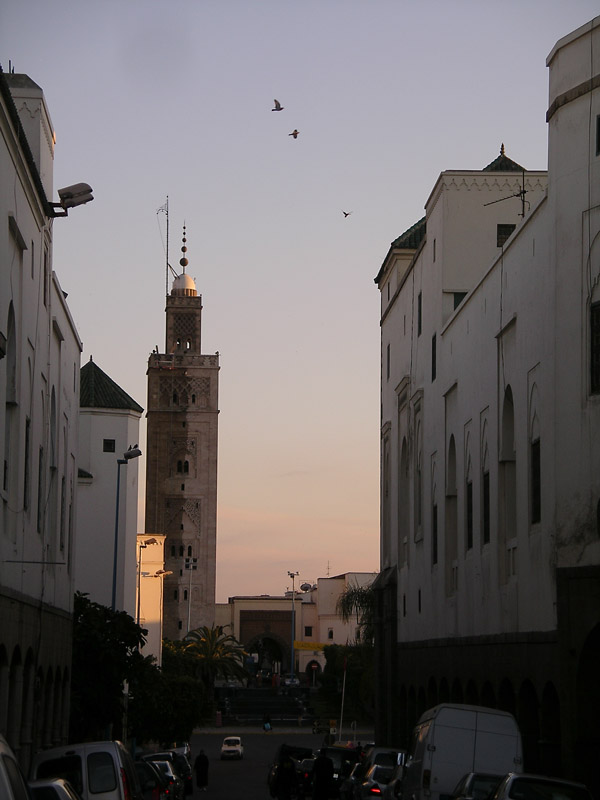 IMGP8428.JPG