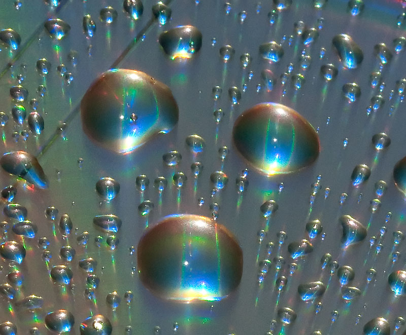 _MG_0263 Water Droplets on DVD.jpg