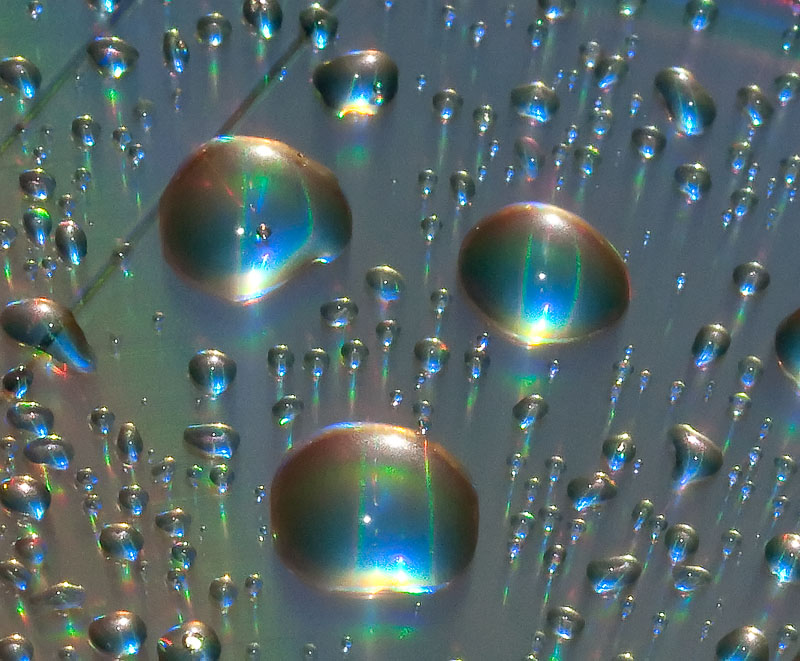 _MG_0263 Water Droplets on DVD.jpg