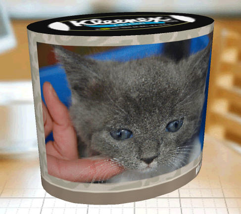 Preview of custom Kleenex Box