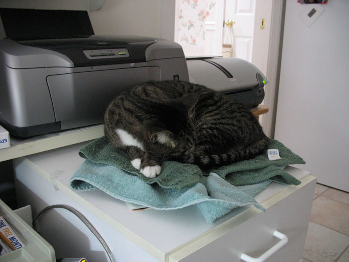 Protected Printer Covers