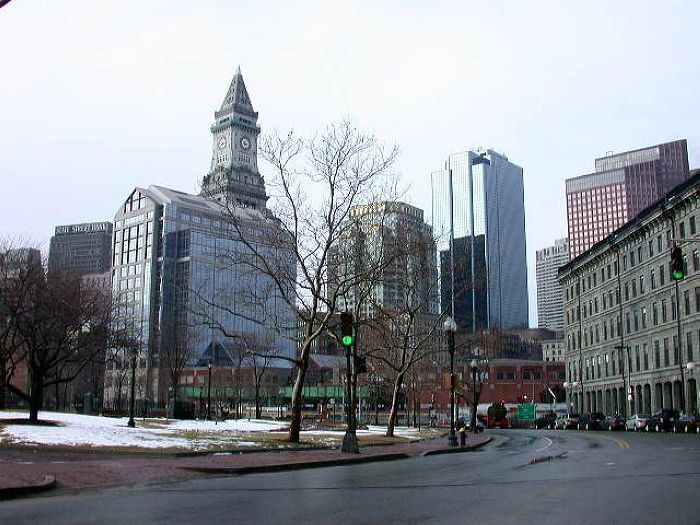 bos77.jpg