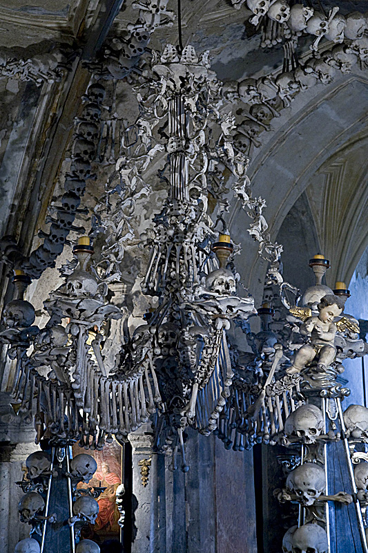 Bone chandelier