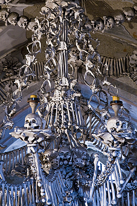 Bone chandelier detail