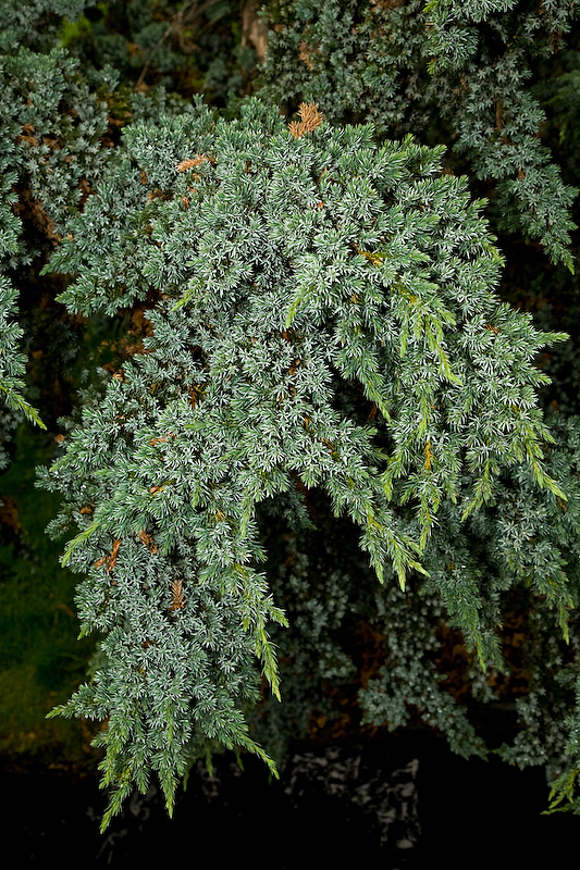 IMG_7138.jpg