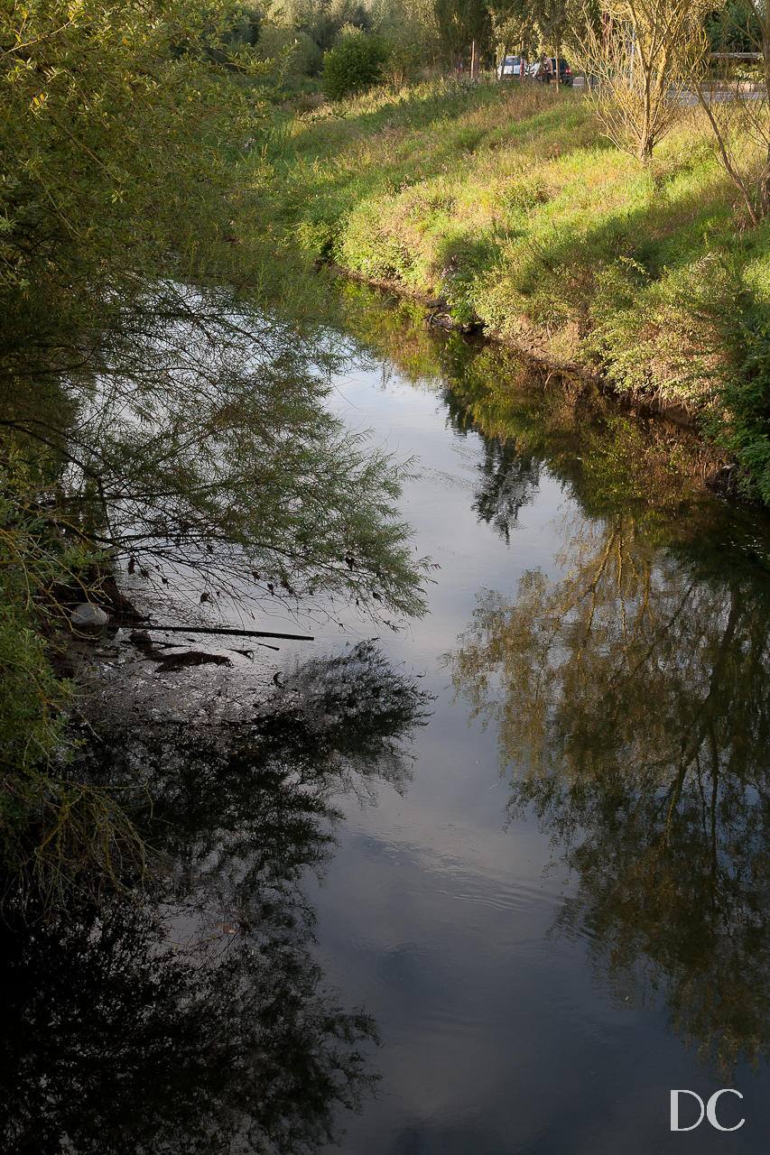 Reflection