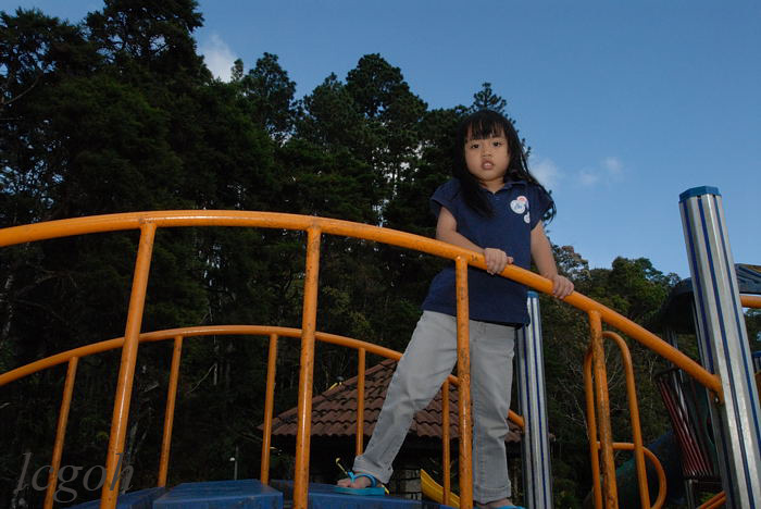 GLC_6698x.jpg