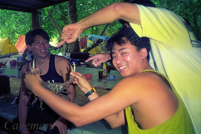 Tenggol Island  - Coconut crab