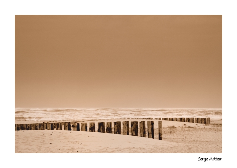 Cap Ferret - La Pointe 19h 0609_05 a.jpg